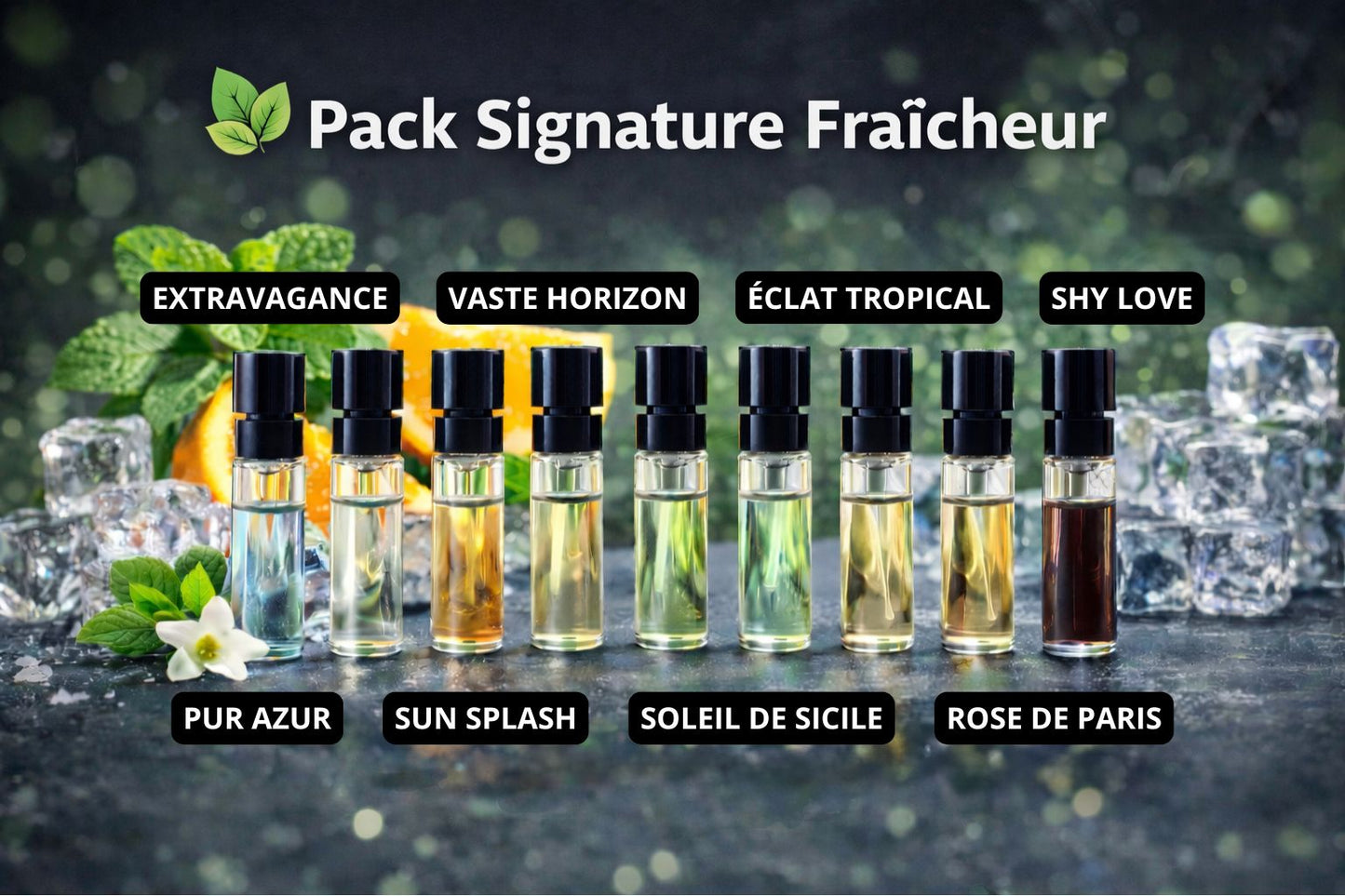 COFFRET DÉCOUVERTE